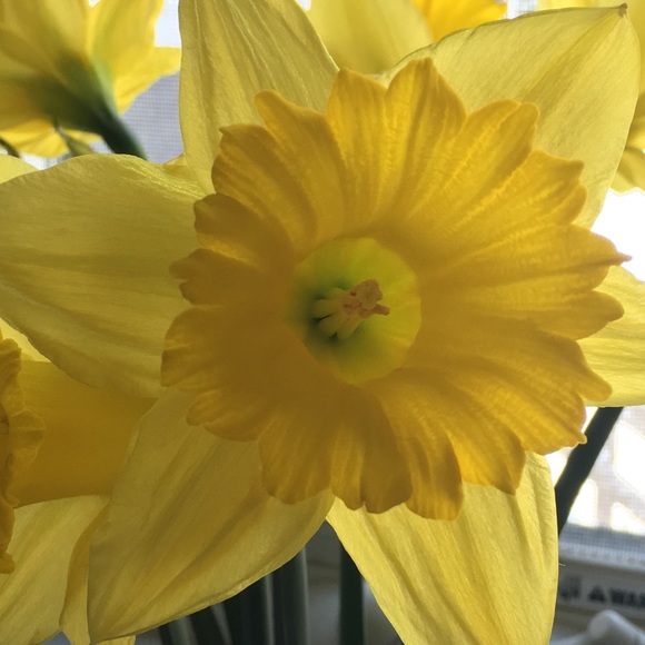 Meet your Posher. - Picture 5 of 8